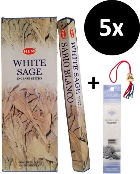 Wierook - Wierookstokjes - 5 Kokers - 100 Stokjes + 5 Mini Stokjes En 1 Gelukspoppetje - Geur Witte Salie - White Sage
