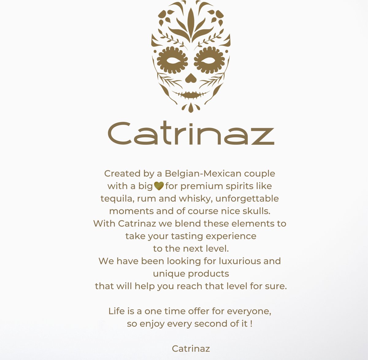Catrinaz® Bouchon De Bouteille Tête De Mort – Agate Mousse Naturelle Et Acier Inoxydable – Coffret Cadeau Inclus