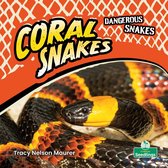 Dangerous Snakes - Coral Snakes