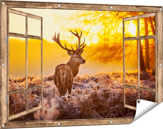 Cerf forêt photo impression et toile > Grand Format Numérique
