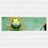 Muursticker - Close-up van Ogen van Groen Insect op Groen Blad - 60x20 cm Foto op Muursticker