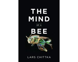 The Mind of a Bee