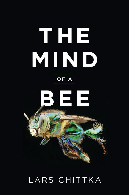 The Mind of a Bee - cover