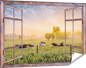 Gards Tuinposter Doorkijk Koeien in de Wei tijdens Zonsopgang - 120x80 cm - Tuindoek - Tuindecoratie - Wanddecoratie buiten - Tuinschilderij