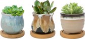 6,5 cm keramische vetplantenpot, cactusplantenbakken voor binnenplanten, kleine bloempot met afvoergaten en bamboe plaat, vloeiend glazuur, set van 3