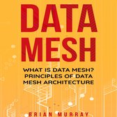 Data Mesh