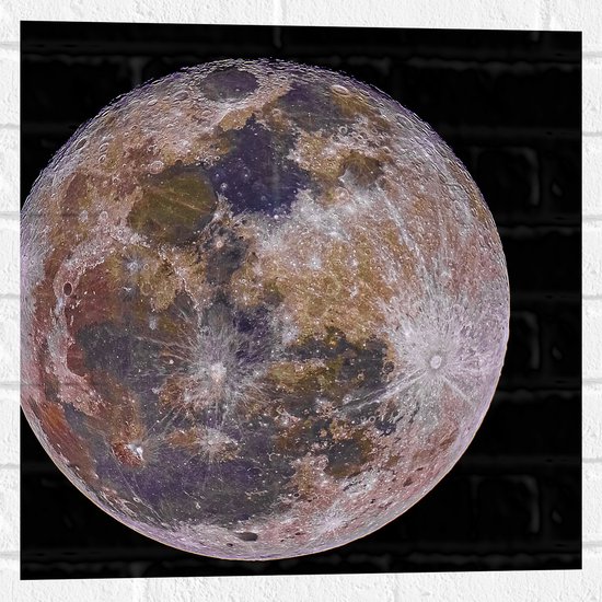 Muursticker - Aarde omringd door Pikzwart Heelal - 50x50 cm Foto op Muursticker