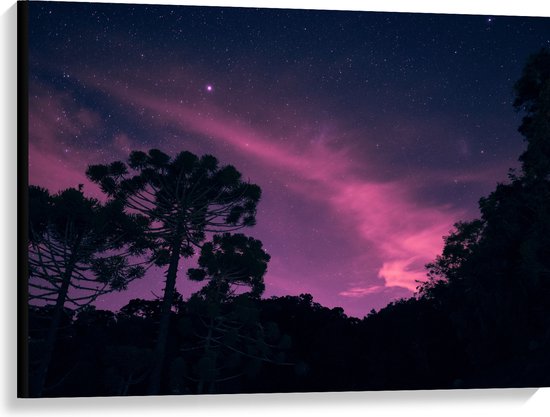 Canvas - Paars Gekleurde Lucht boven Silhouet van Bomen - 100x75 cm Foto op Canvas Schilderij (Wanddecoratie op Canvas)