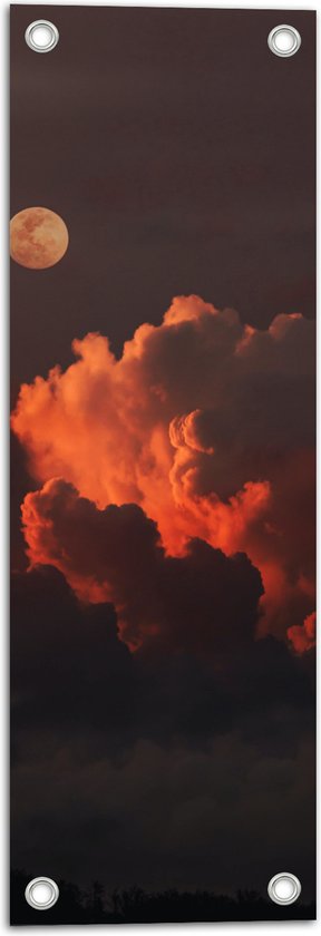 Tuinposter – Maan bij Wolken - 20x60 cm Foto op Tuinposter (wanddecoratie voor buiten en binnen)