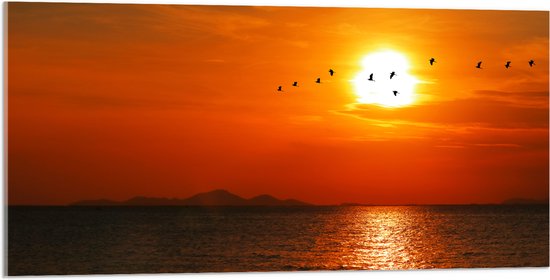 Acrylglas - Silhouet van Zwerm Vogels bij Zonsondergang boven de Zee - 100x50 cm Foto op Acrylglas (Wanddecoratie op Acrylaat)