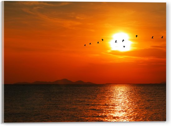 Acrylglas - Silhouet van Zwerm Vogels bij Zonsondergang boven de Zee - 40x30 cm Foto op Acrylglas (Wanddecoratie op Acrylaat)