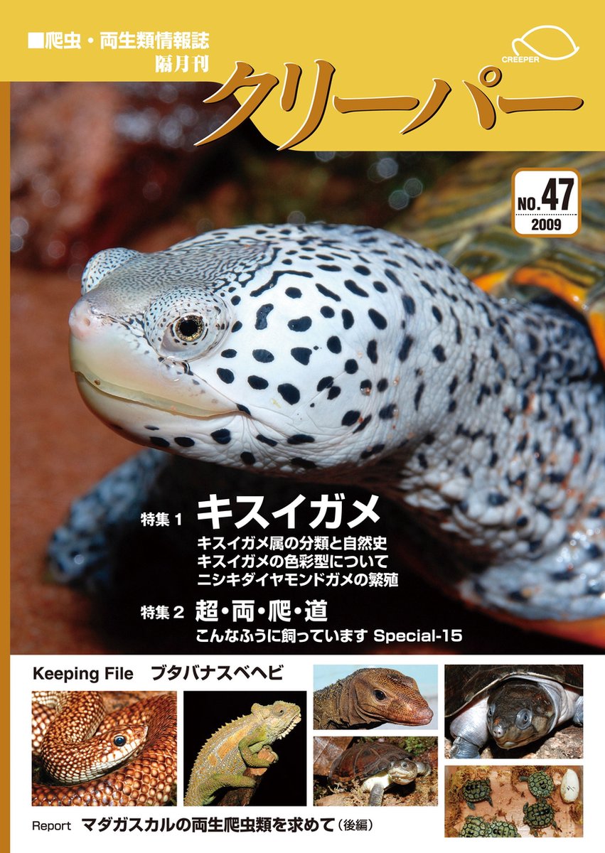 格安即納爬虫類両生類情報誌　クリーパー　7号 趣味