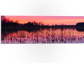 PVC Schuimplaat- Rozekleurige Lucht boven Meer met Waterplanten - 60x20 cm Foto op PVC Schuimplaat