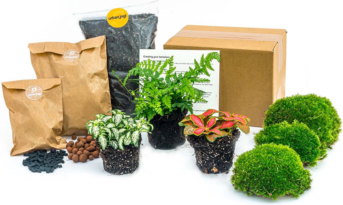 Planten terrarium pakket - Varen - 3 terrarium planten - Ecosysteem plant - Startpakket - Navulling - DIY Ecosysteem Planten Set | Inclusief Planten - Substraat - Terrarium potgrond - Bolmos - Actieve kool - Handleiding en tips | urbanjngl