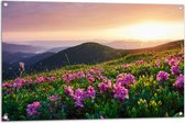 Tuinposter – Roze Bloemen op de Bergen van Landschap tijdens Zonsopkomst - 105x70 cm Foto op Tuinposter (wanddecoratie voor buiten en binnen)