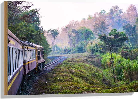 WallClassics - Hout - Thaise Trein door Groen Natuurgebied in Thailand - 75x50 cm - 9 mm dik - Foto op Hout (Met Ophangsysteem)