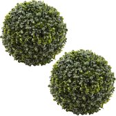 Everlands Buxus bol kunstplanten - 2x stuks - D26 cm - groen - kunststof