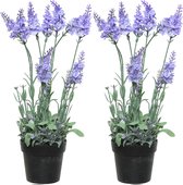 Everlands Lavendel kunstplant in pot - 2x - lila paars - D18 x H38 cm