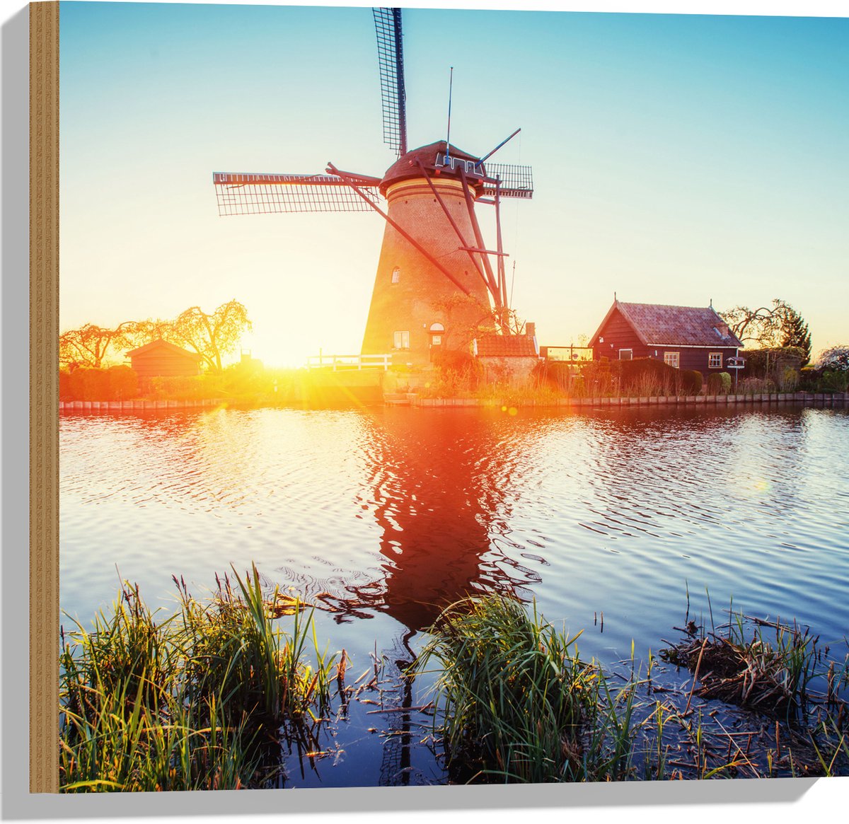 WallClassics - Hout - Zonlicht langs Hollandse Molen aan het Water - 50x50 cm - 9 mm dik - Foto op Hout (Met Ophangsysteem)