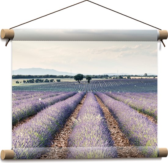 WallClassics - Textielposter - Rijen Paarse Lavendel - 40x30 cm Foto op Textiel