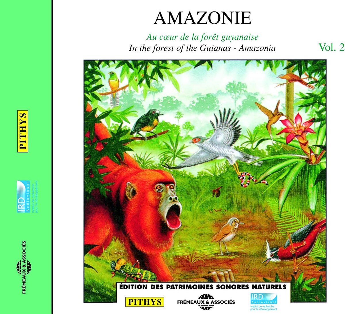Various Artists - Amazonia Vol 2: Au Coeur De La Forêt Guyanaise [In The Forest Of The Guianas] (CD)