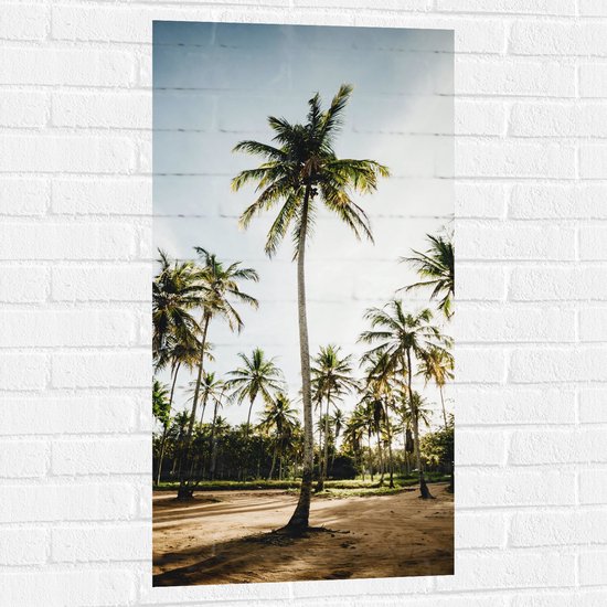 WallClassics - Muursticker - Park met Hoge Palmbomen - 50x100 cm Foto op Muursticker