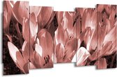 GroepArt - Canvas Schilderij - Bloemen, Krokus - Bruin, Rood - 150x80cm 5Luik- Groot Collectie Schilderijen Op Canvas En Wanddecoraties