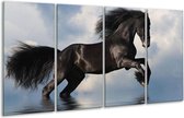 GroepArt - Glasschilderij - Paard - Zwart, Blauw, Wit - 160x80cm 4Luik - Foto Op Glas - Geen Acrylglas Schilderij - 6000+ Glasschilderijen Collectie - Wanddecoratie
