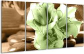 Peinture sur verre d'orchidée | Vert, marron | 160x80cm 4 Liège | Tirage photo sur verre |  F004551