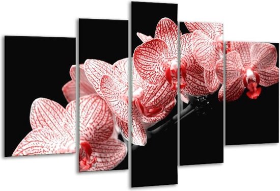 Glasschilderij Orchidee - Rood, Wit, Zwart - 170x100cm 5Luik - Foto Op Glas - Geen Acrylglas Schilderij - 6000+ Glasschilderijen Collectie - Wanddecoratie