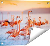 Gards Tuinposter Kudde Flamingo's in het Water - 50x40 cm - Tuindoek - Tuindecoratie - Wanddecoratie buiten - Tuinschilderij