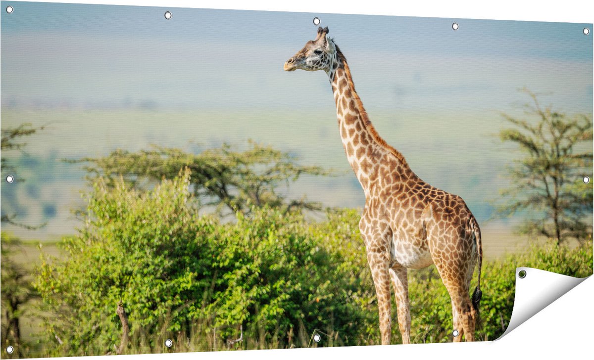 Gards Tuinposter Giraffe in het Wild tussen de Struiken - 160x80 cm - Tuindoek - Tuindecoratie - Wanddecoratie buiten - Tuinschilderij Multikleur