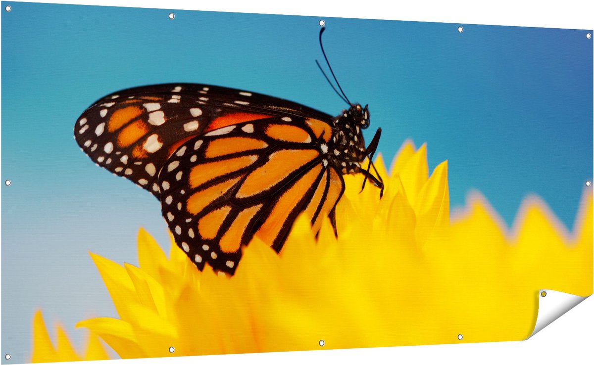 Gards Tuinposter Oranje Vlinder bij een Zonnebloem - 200x100 cm - Tuindoek - Tuindecoratie - Wanddecoratie buiten - Tuinschilderij Multikleur