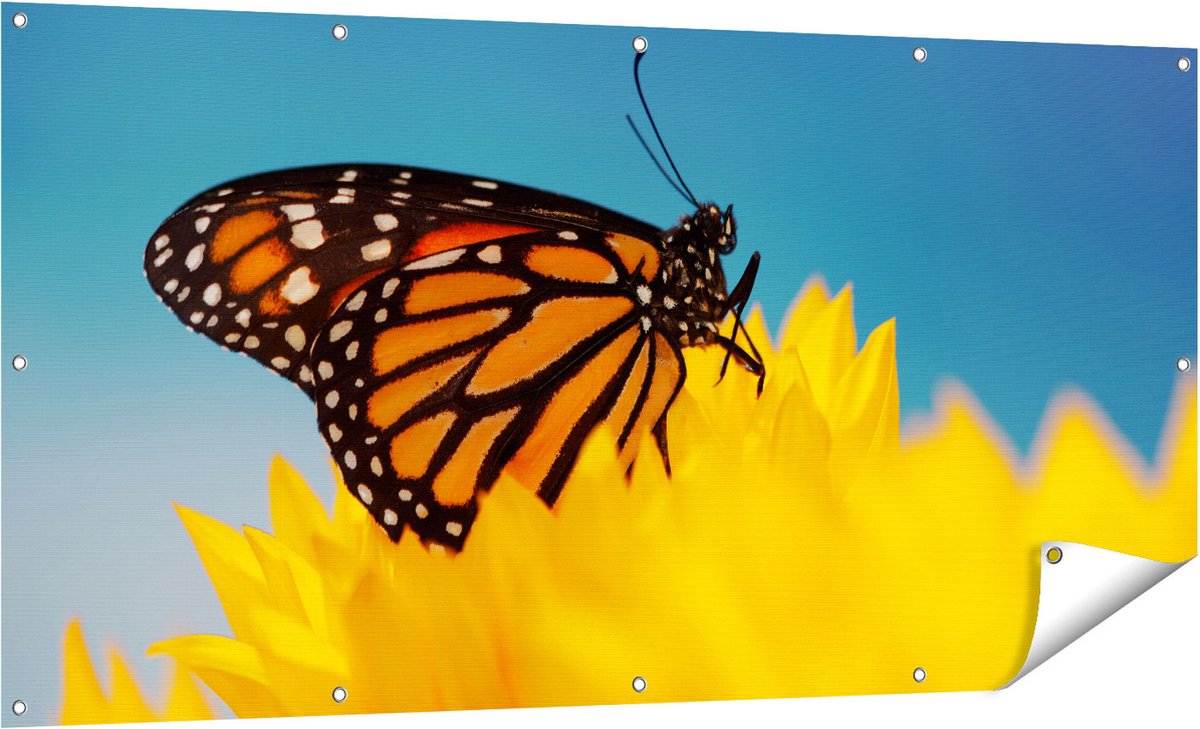 Gards Tuinposter Oranje Vlinder bij een Zonnebloem - 160x80 cm - Tuindoek - Tuindecoratie - Wanddecoratie buiten - Tuinschilderij Multikleur