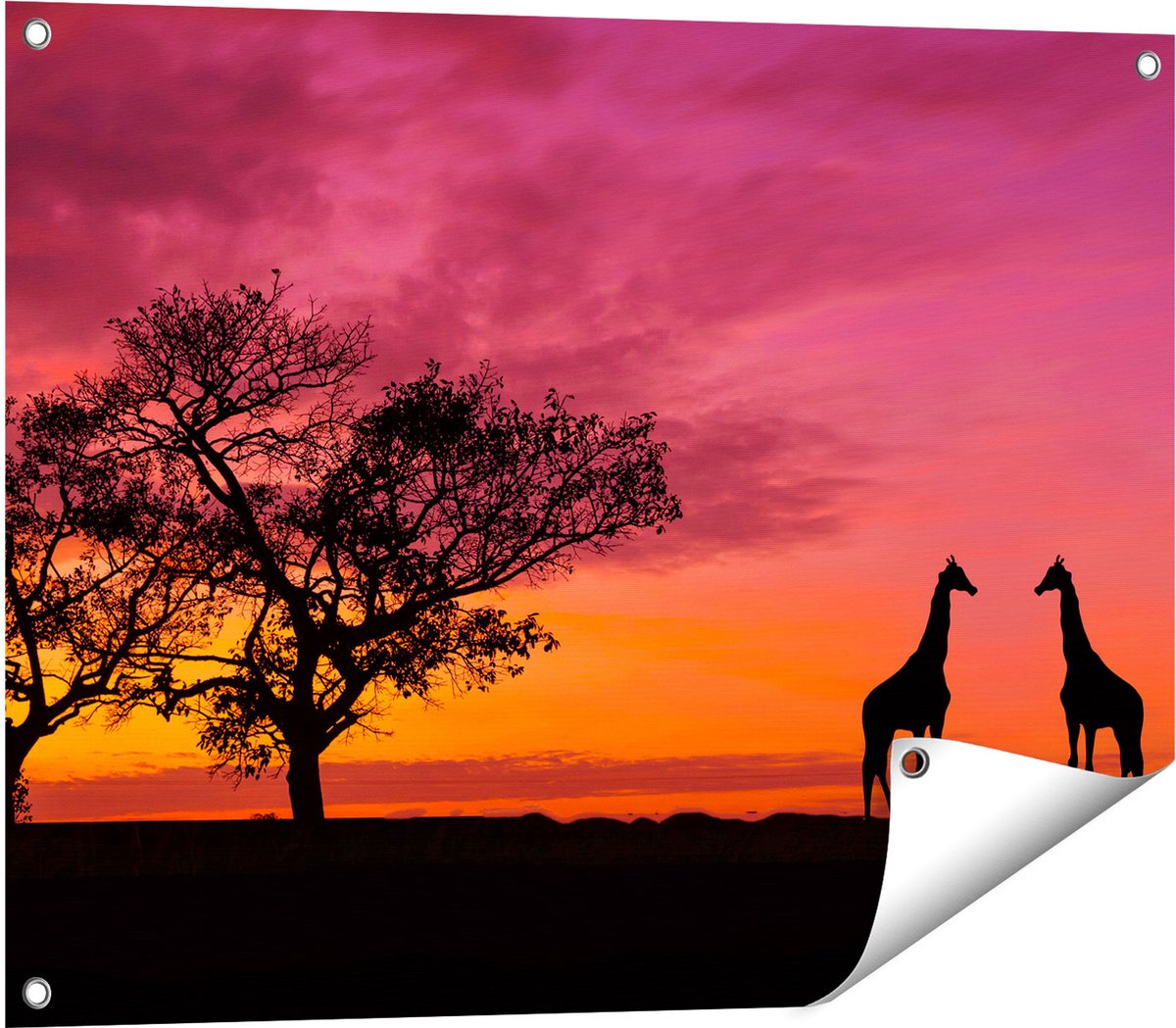 Gards Tuinposter Twee Giraffe Silhouetten bij Zonsondergang - 80x60 cm - Tuindoek - Tuindecoratie - Wanddecoratie buiten - Tuinschilderij Multikleur