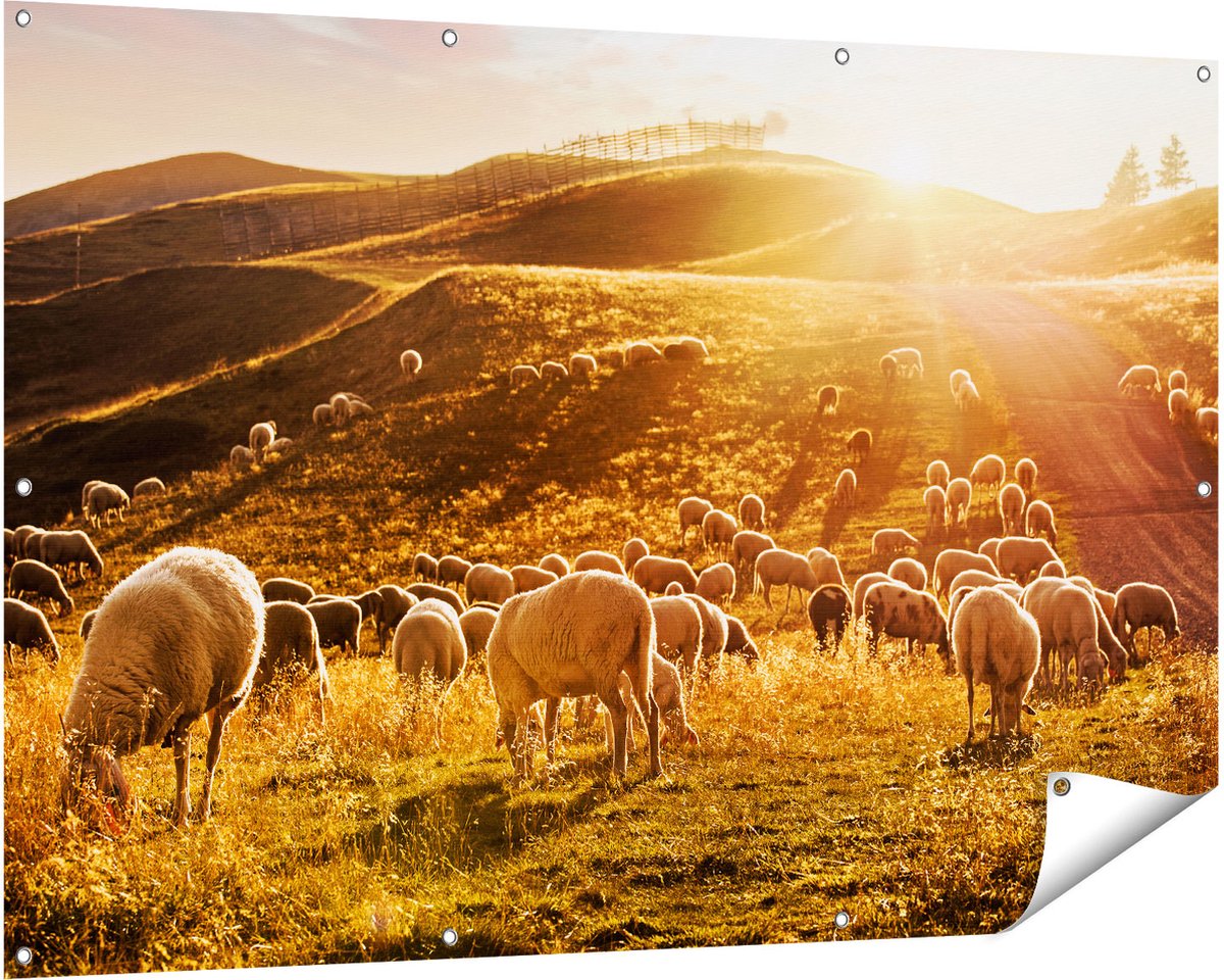 Gards Tuinposter Schapen in de Heuvels bij Zonsondergang - 150x100 cm - Tuindoek - Tuindecoratie - Wanddecoratie buiten - Tuinschilderij Multikleur