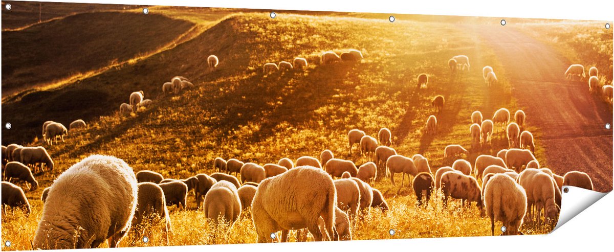 Gards Tuinposter Schapen in de Heuvels bij Zonsondergang - 210x70 cm - Tuindoek - Tuindecoratie - Wanddecoratie buiten - Tuinschilderij Multikleur