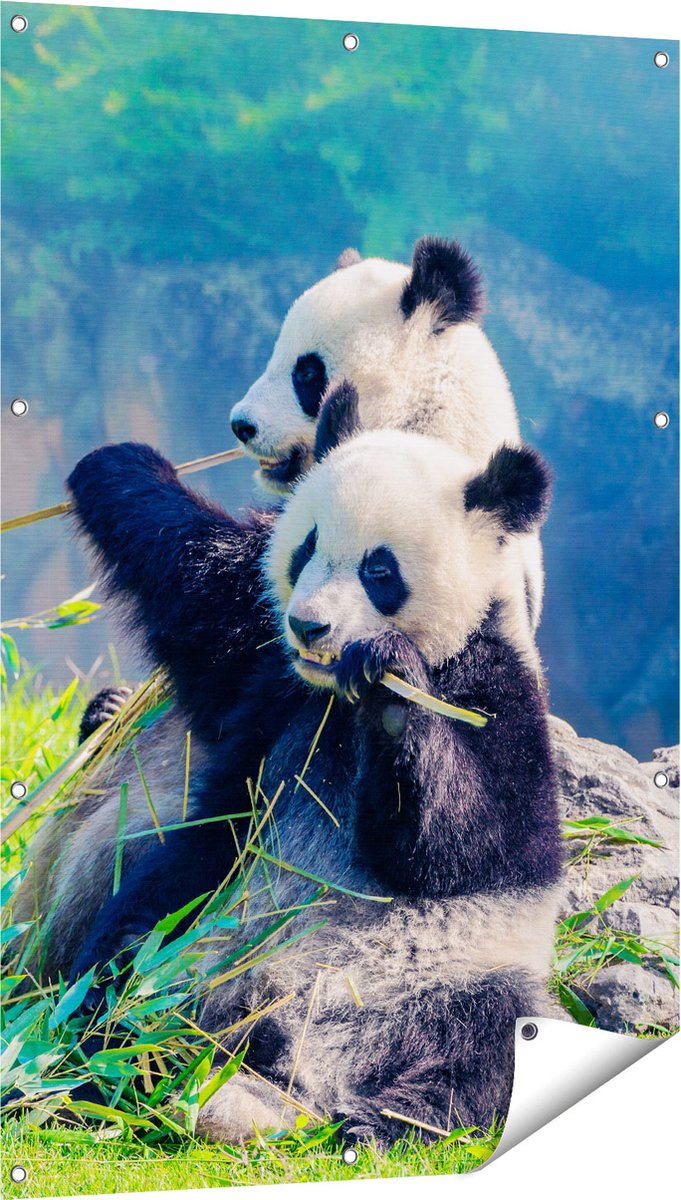 Gards Tuinposter Twee Panda's Eten Bamboe Riet - 80x120 cm - Tuindoek - Tuindecoratie - Wanddecoratie buiten - Tuinschilderij Multikleur