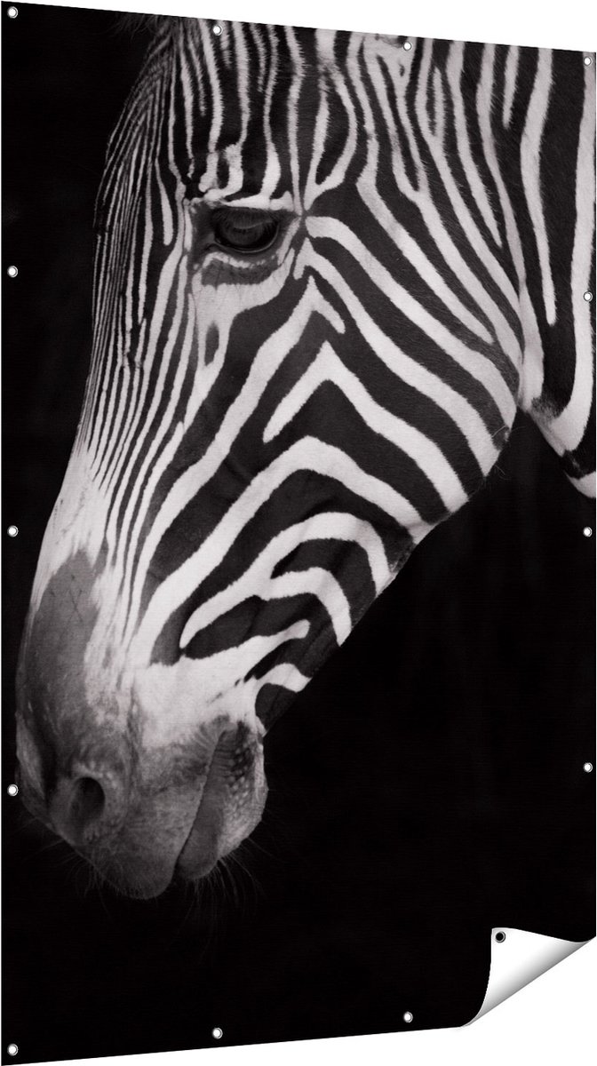 Gards Tuinposter Zebra Kop vanaf de Zijkant - Zwart Wit - 120x180 cm - Tuindoek - Tuindecoratie - Wanddecoratie buiten - Tuinschilderij Multikleur