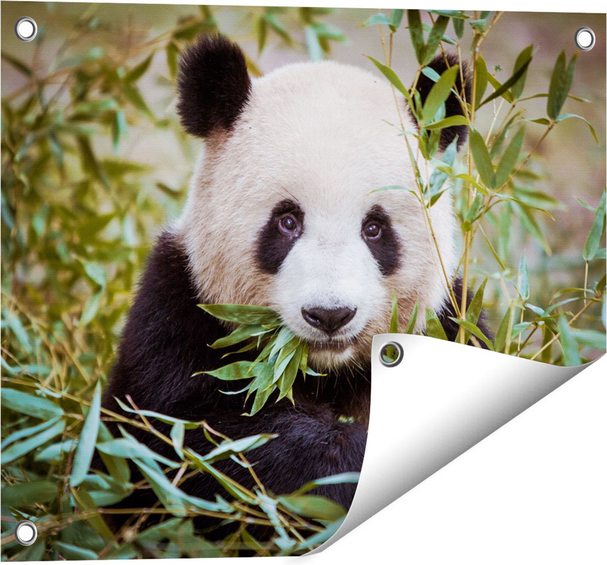 Gards Tuinposter Panda Eet Planten - 50x40 cm - Tuindoek - Tuindecoratie - Wanddecoratie buiten - Tuinschilderij Multikleur