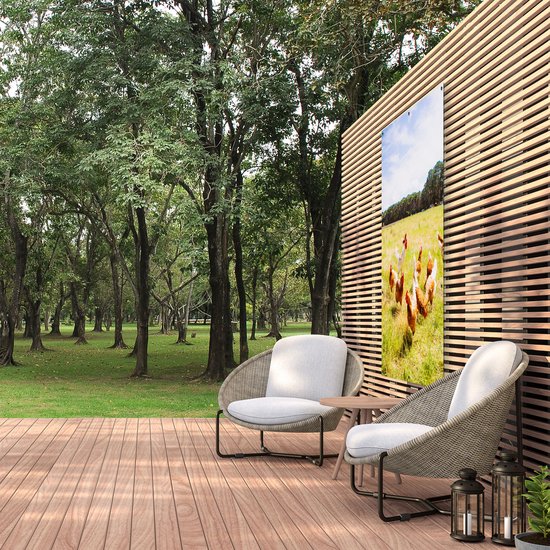 Gars Affiche jardin Poules dans l'herbe - 100x150 cm - Toile jardin - Décoration de jardin - Décoration murale extérieur - Tableau jardin