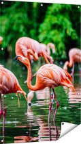 Gards Tuinposter Kudde Flamingo's in de Jungle in het Water - 80x120 cm - Tuindoek - Tuindecoratie - Wanddecoratie buiten - Tuinschilderij