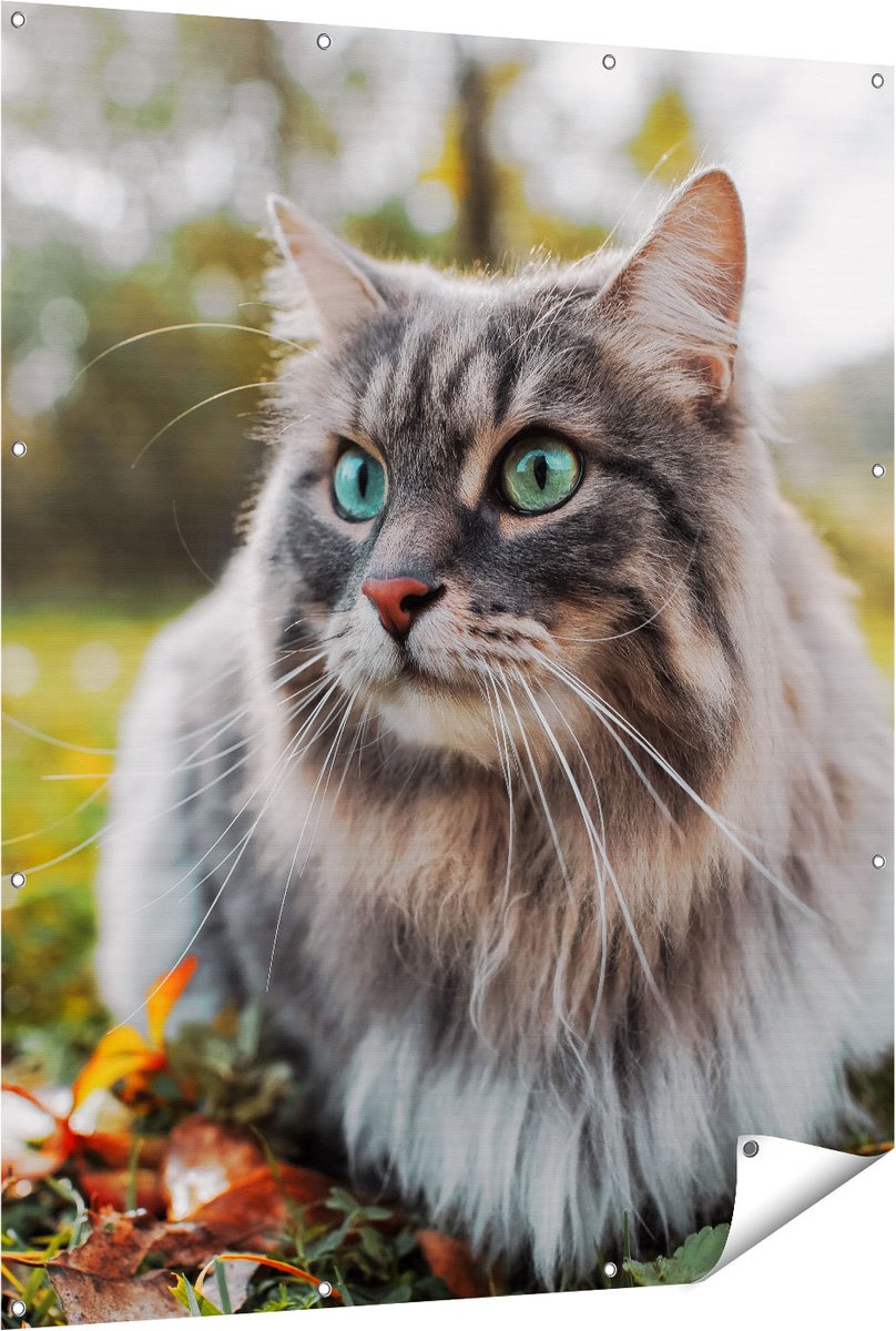 Gards Tuinposter Kat met Groene Ogen op het Gras - 120x150 cm - Tuindoek - Tuindecoratie - Wanddecoratie buiten - Tuinschilderij Multikleur