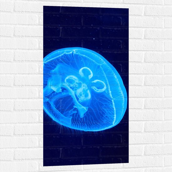 Muursticker - Lichtblauwe Kwal in Donkerblauwe Zee - 50x100 cm Foto op Muursticker