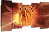 GroepArt - Canvas Schilderij - Bloem - Geel, Oranje - 150x80cm 5Luik- Groot Collectie Schilderijen Op Canvas En Wanddecoraties