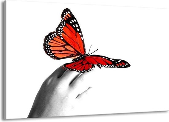 Canvas schilderij Vlinder | Rood, Wit, Zwart | | F000308