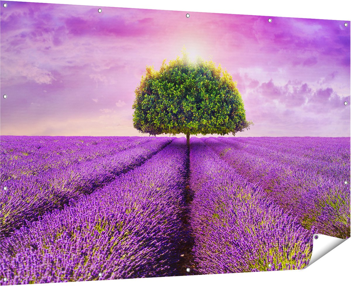 Gards Tuinposter Groene Boom in de Lavendel Bloemen - 180x120 cm - Tuindoek - Tuindecoratie - Wanddecoratie buiten - Tuinschilderij Multikleur