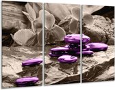 Glasschilderij Orchidee - Paars, Grijs - 120x80cm 3Luik - Foto Op Glas - Geen Acrylglas Schilderij - GroepArt 6000+ Glas Art Collectie - Maatwerk Mogelijk