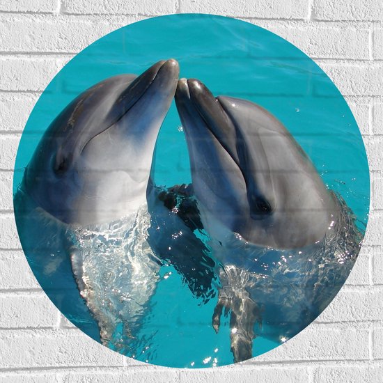 Muursticker Cirkel - Duo Dolfijnen in de Helderblauwe Zee - 70x70 cm Foto op Muursticker