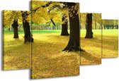 GroepArt - Schilderij -  Natuur - Geel, Groen, Zwart - 160x90cm 4Luik - Schilderij Op Canvas - Foto Op Canvas